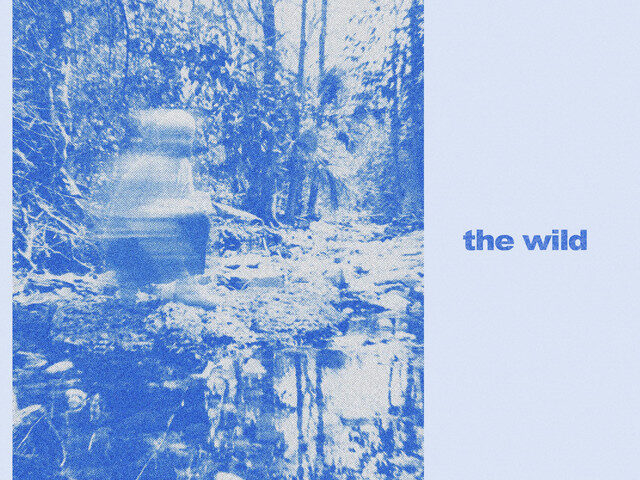 Michael Sanders Lets Loose with Infectious New Single “the wild”