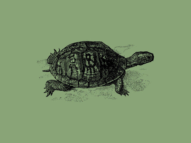 Christopha Delivers with Purpose on “Better Late Than Never”