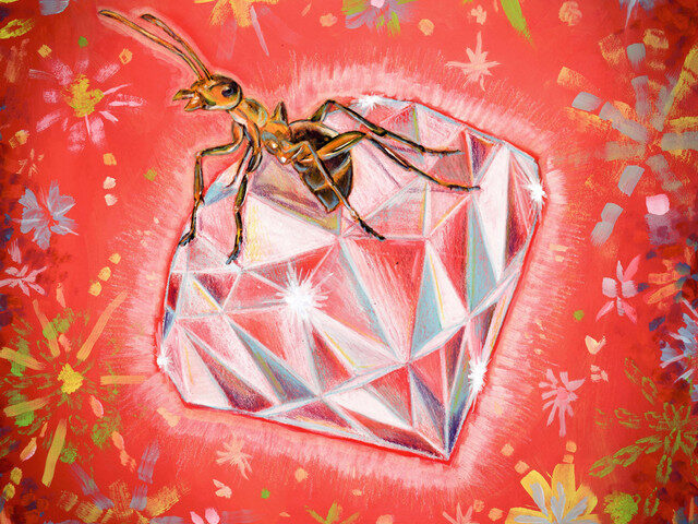 Feel the Pulse of Planet 81 in “Rhythm Rock”