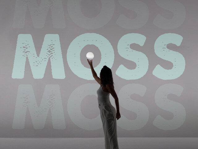 The Quirky Brilliance of tawnylawns Shines Through in “Moss”