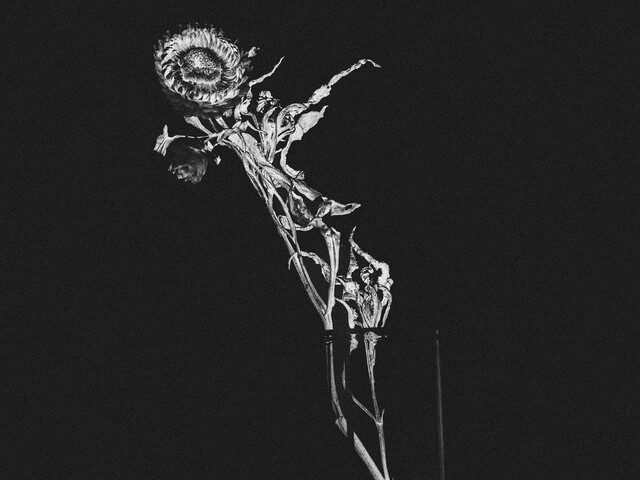 WhoIsDatwish Explores Intimacy and Self-Destruction on “Almost Us”